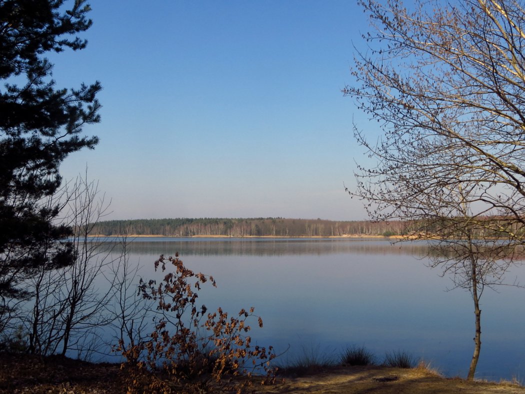 am Senftenberger See