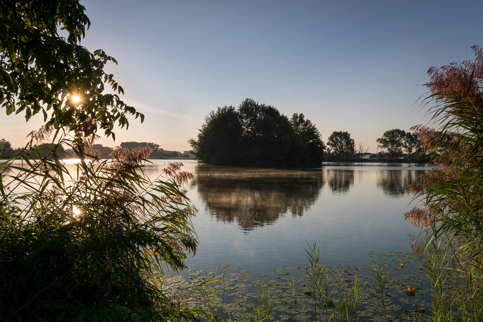 Am Setzfeldsee Neupotz 4