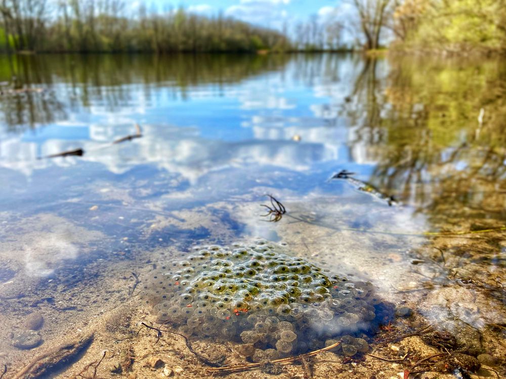 Am Sevelener See