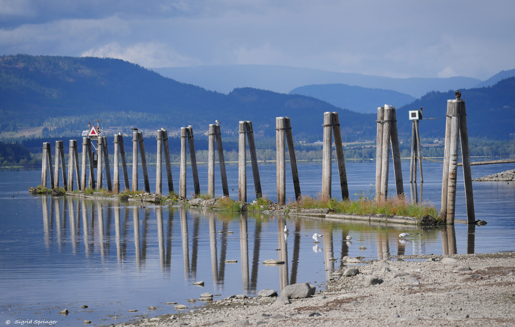 Am Shuswap Lake in Salmon Arm.....