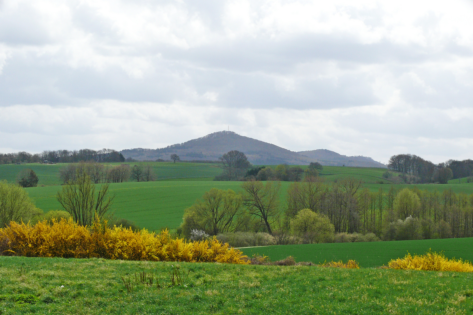 am Siebengebirge