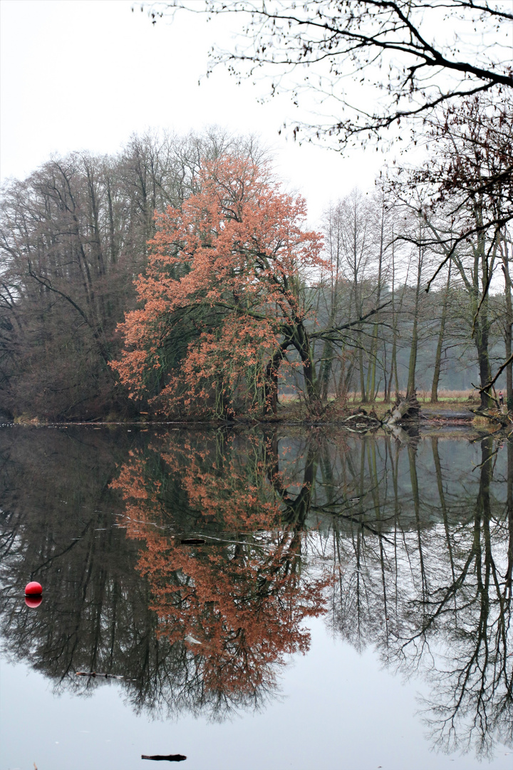 Am Siethner See