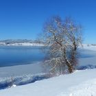 Am Sihlsee