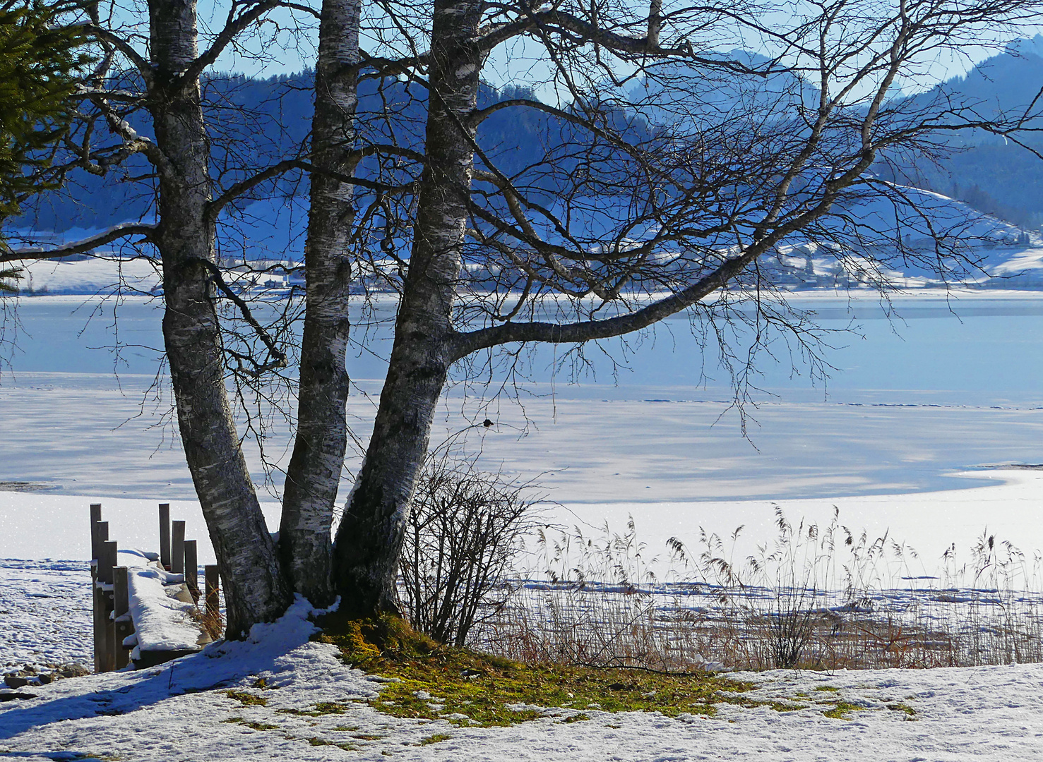 Am Sihlsee