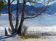 Am Sihlsee