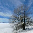 Am Sihlsee