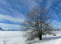 Am Sihlsee