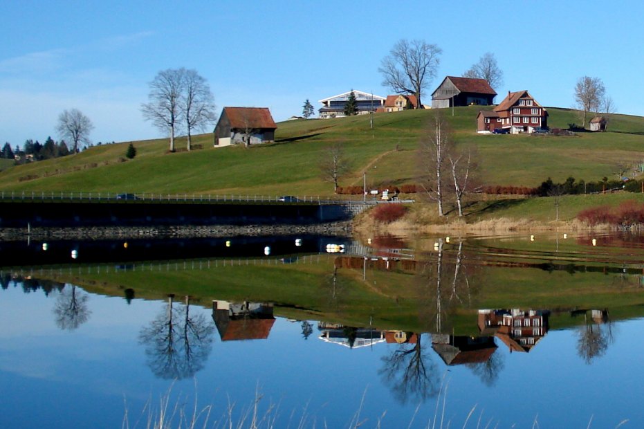 Am Sihlsee (SZ)