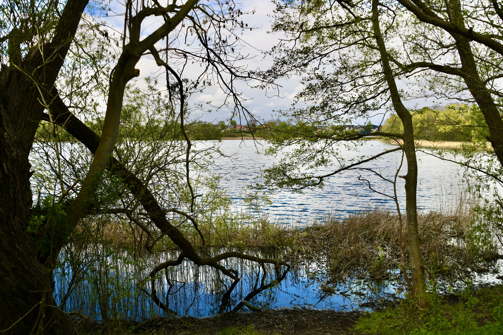 Am Sildemower See