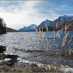 am Silsersee