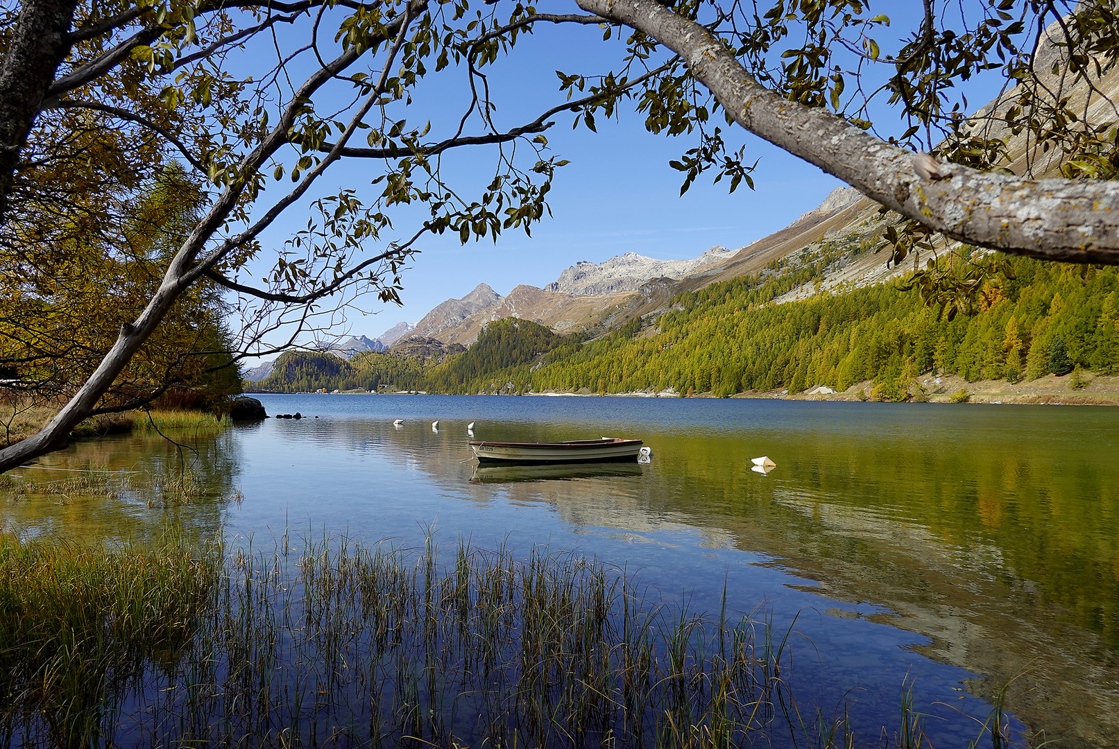 am Silsersee