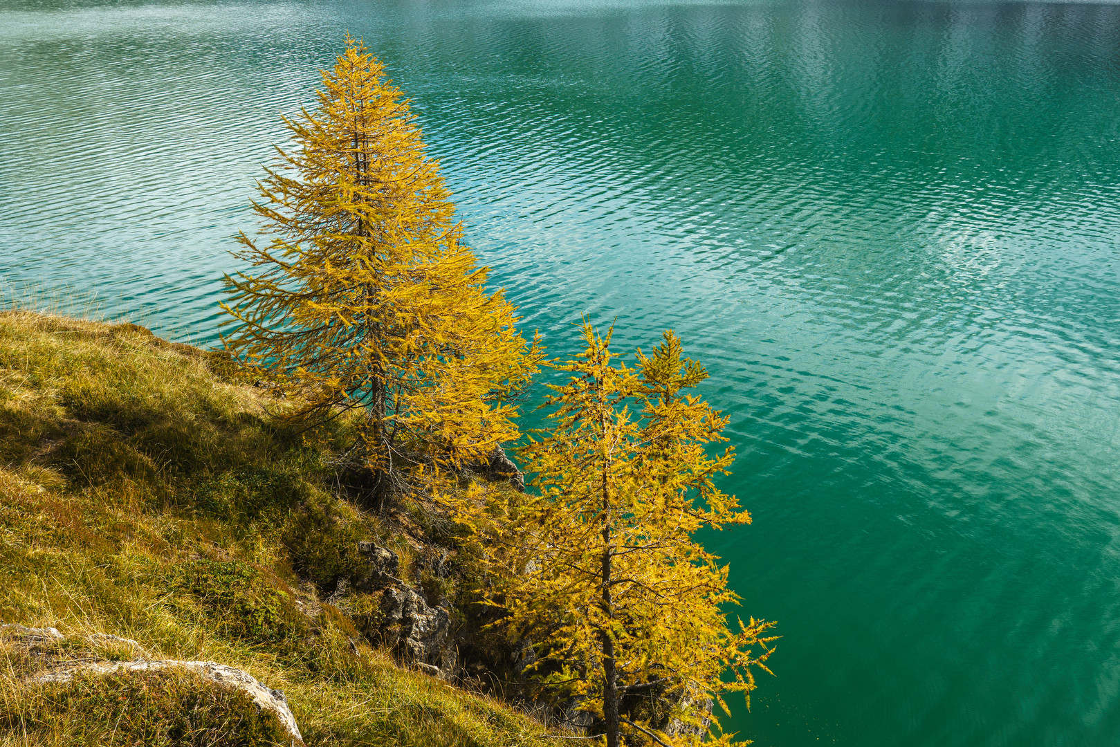 Am Silsersee