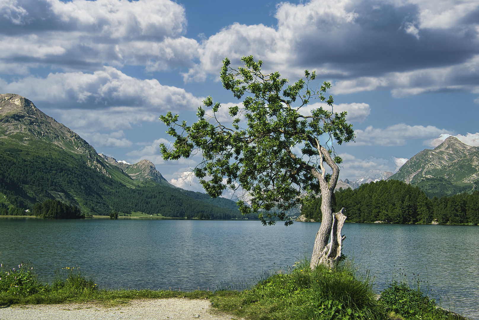 Am Silsersee