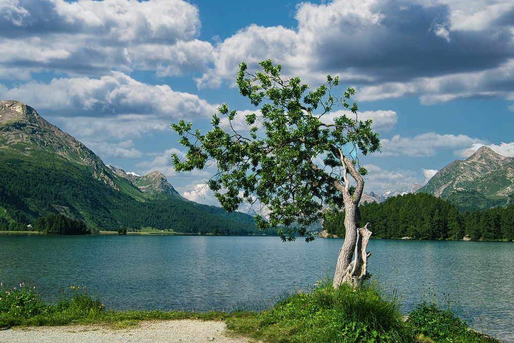 Am Silsersee