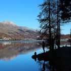 am Silvaplanersee