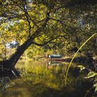 Am Simssee - Herbststimmung