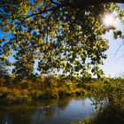 Am Simssee - Herbststimmung im Oktober