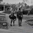 Am Skaterpark