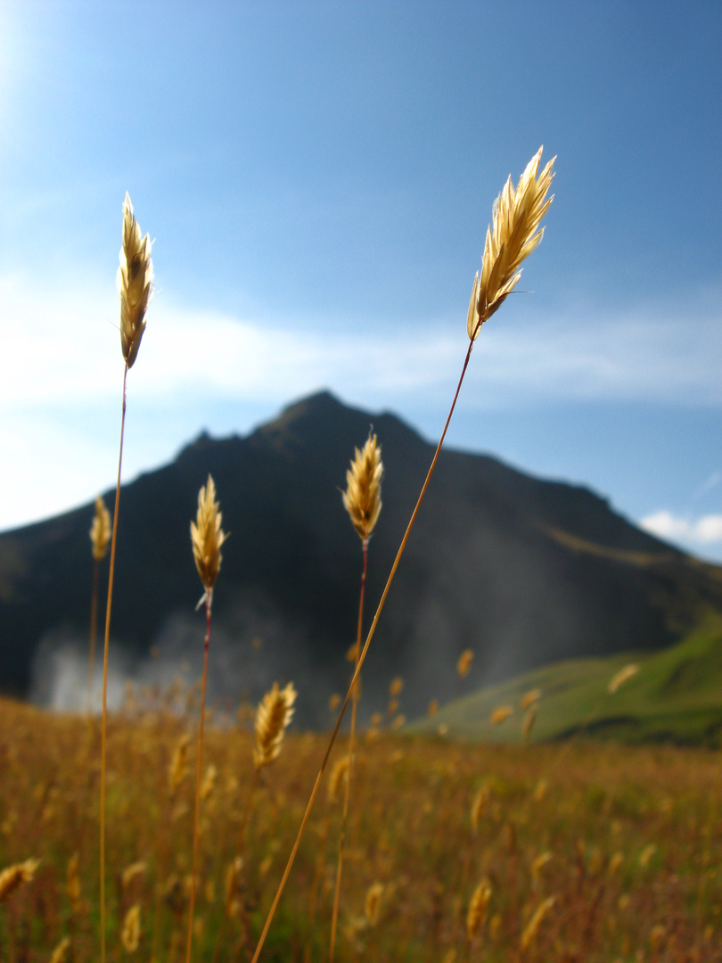 am Skógafoss