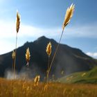 am Skógafoss