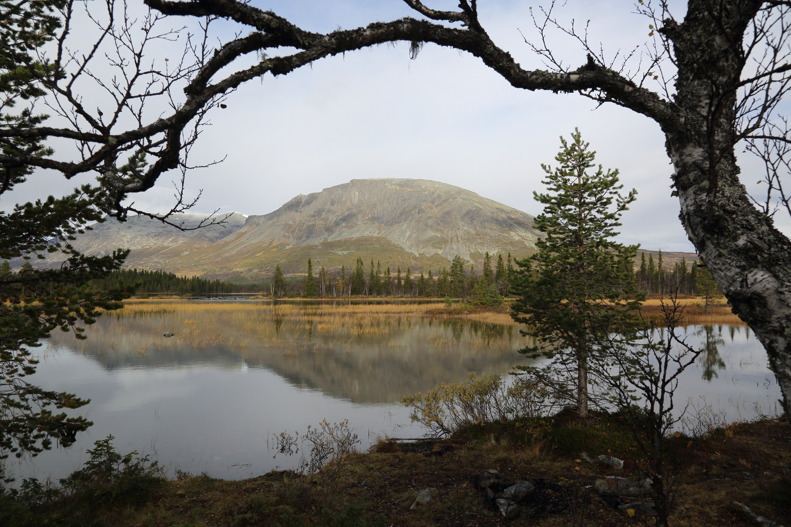 Am Skogshorn