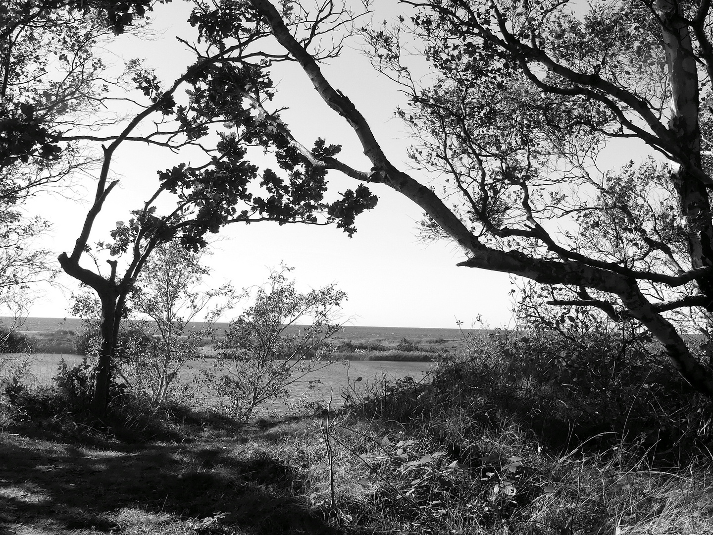 Am Smaragdsee - Bornholm 4