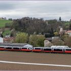 Am Söchauer Berg I