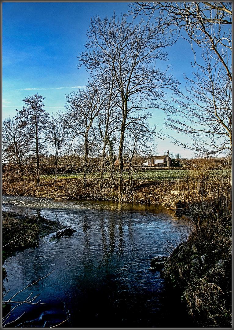 Am Soestbach bei Borgeln #2