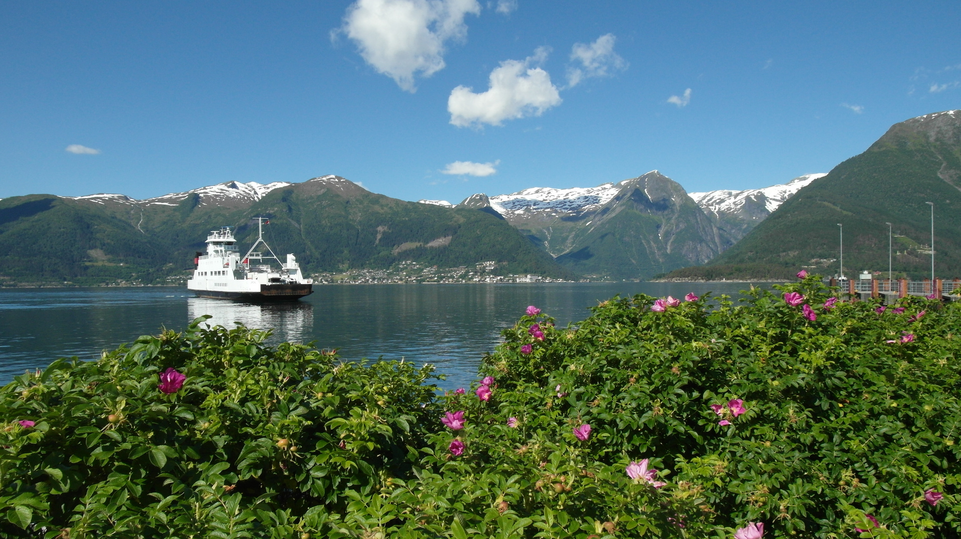 Am Sognefjord