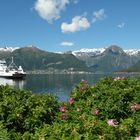 Am Sognefjord