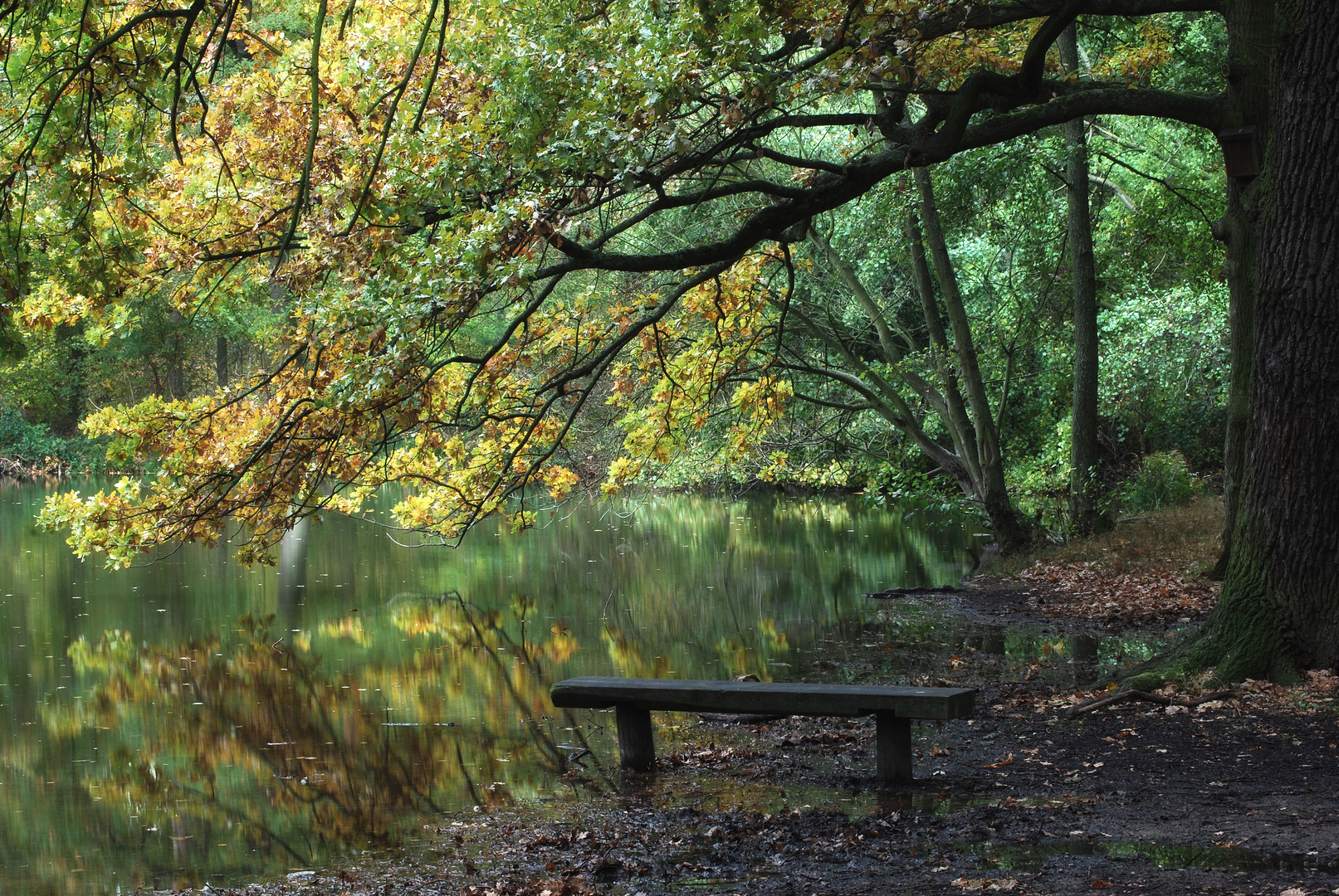 Am Soldatenweiher bei Neustadt an der Weinstrasse