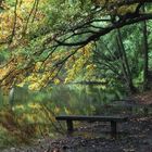 Am Soldatenweiher bei Neustadt an der Weinstrasse