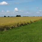 Am sommerlichen Feld entlang