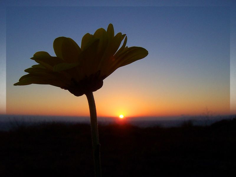 Am Sonnenaufgang