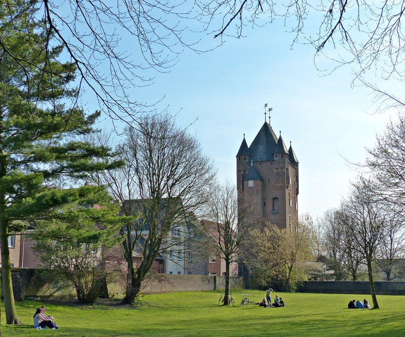 Am sonnigen Nachmittag.....