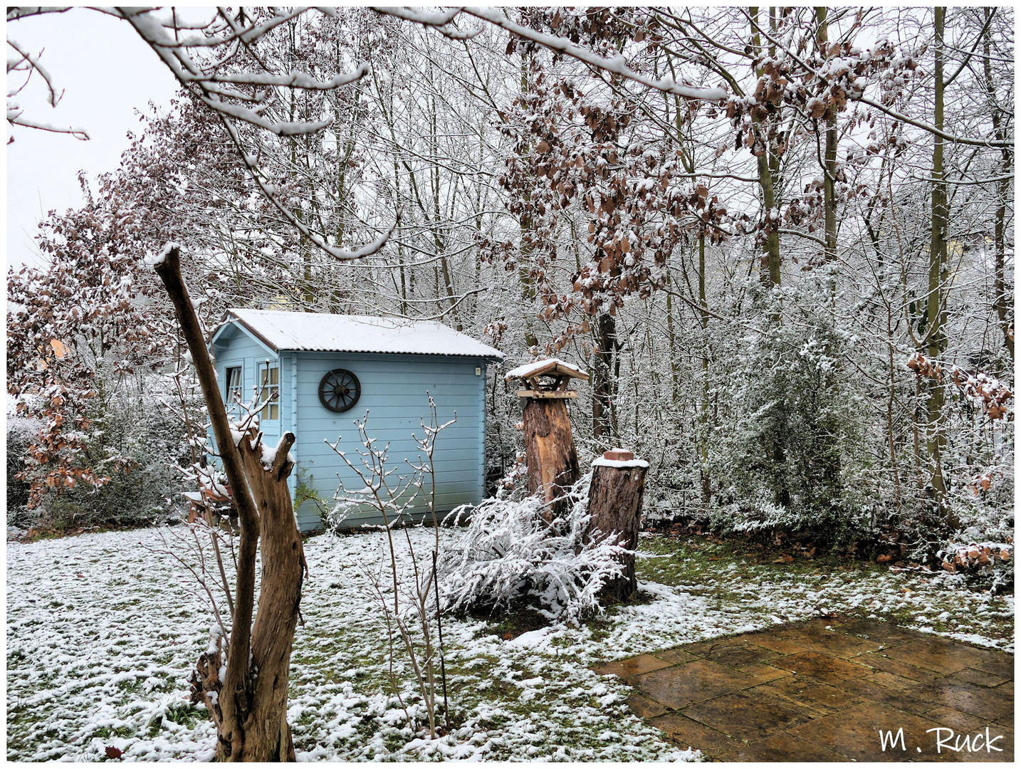 Am Sonntag den 05 Februar überraschte uns ein neuerlicher Winter Einbruch 