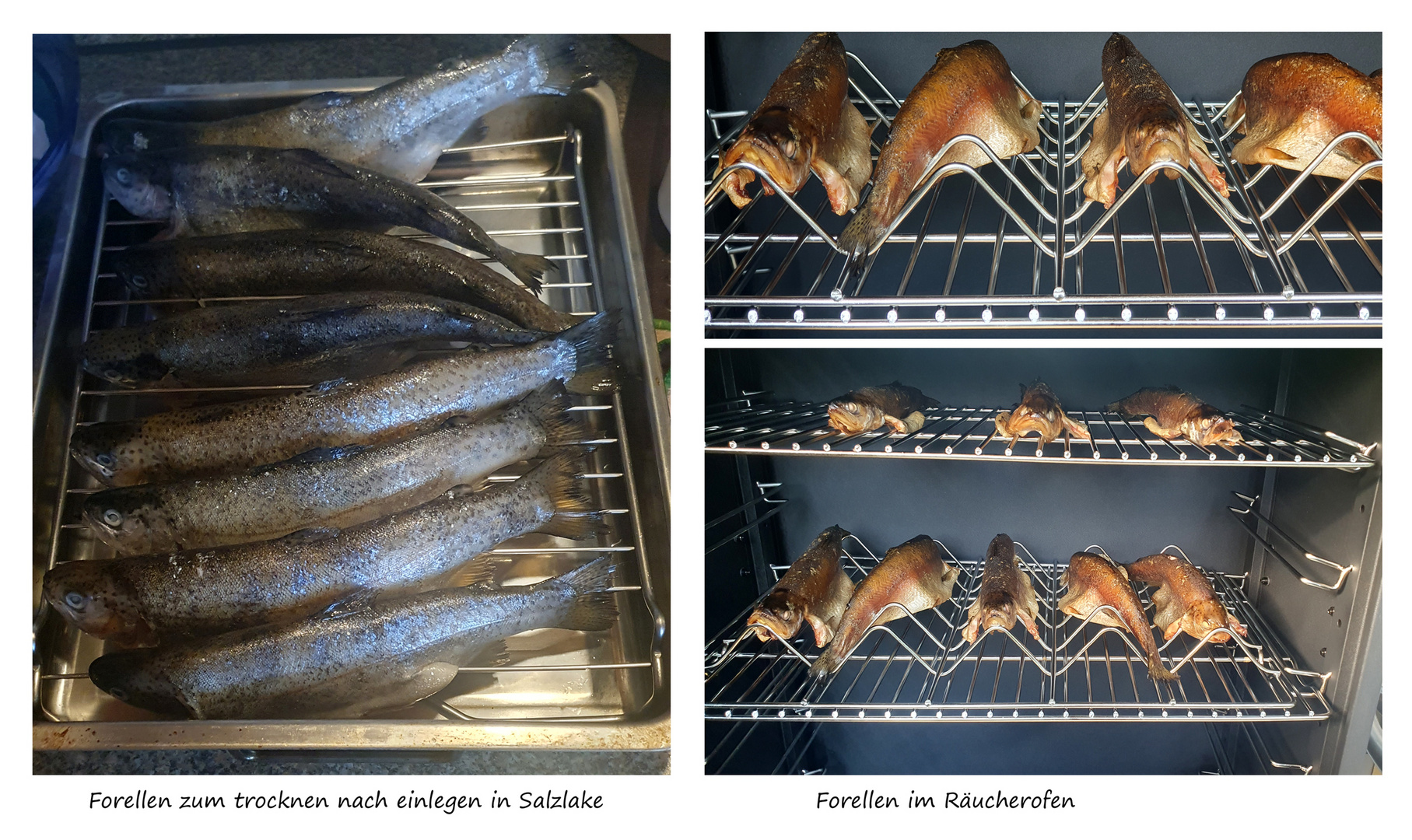 Am Sonntag gab's Fisch