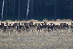 Am Sonntag in der Lausitz