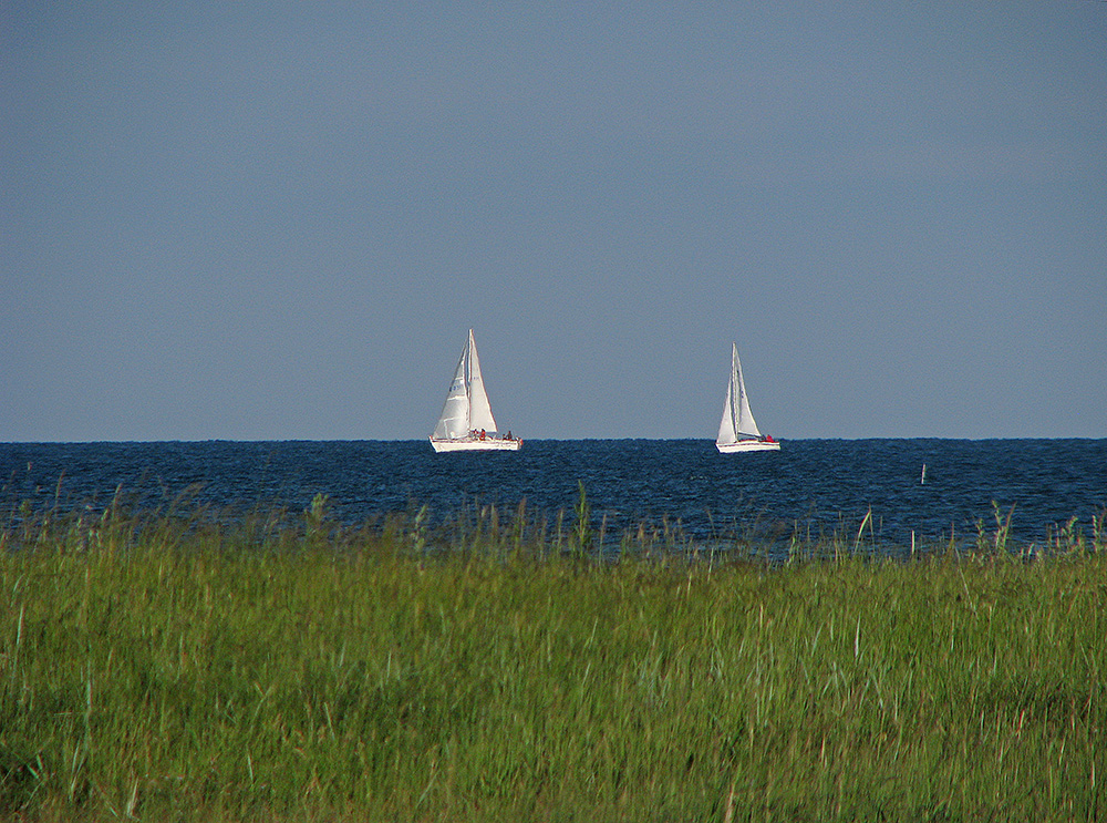 Am Sonntag will mein Liebling mit mir segeln gehn, ...