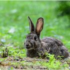 Am Sonntagmorgen im Ostpark !