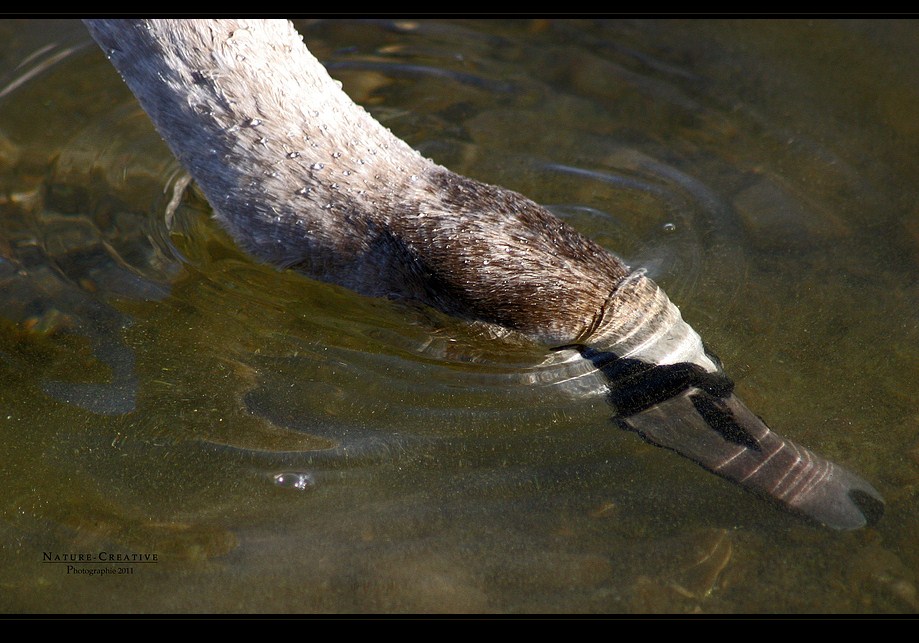 "Am Sonthofener See 11"