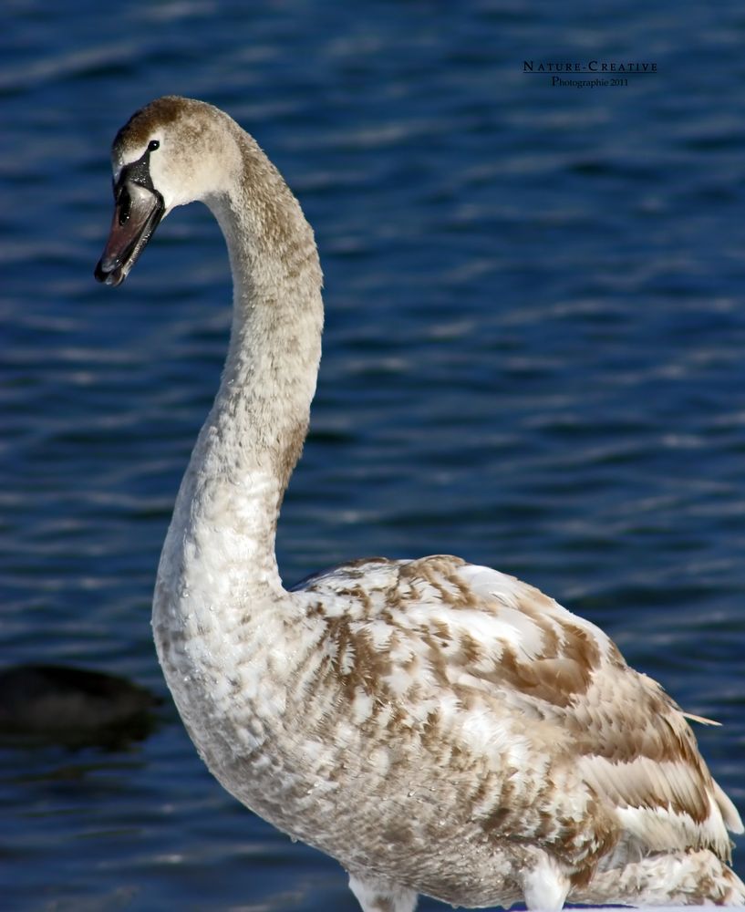 "Am Sonthofener See 12"