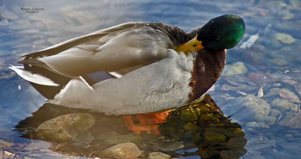 "Am Sonthofener See 21"