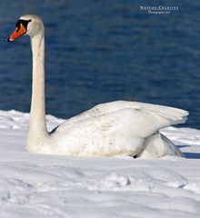 "Am Sonthofener See 25"