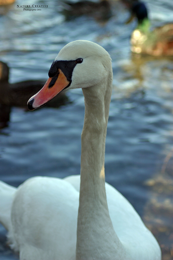 "Am Sonthofener See 3"