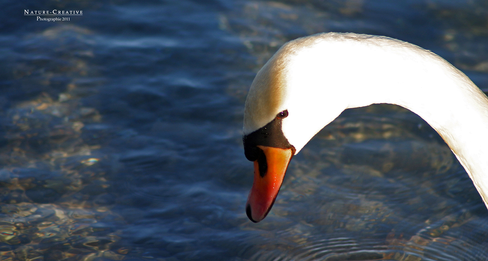 "Am Sonthofener See 6"