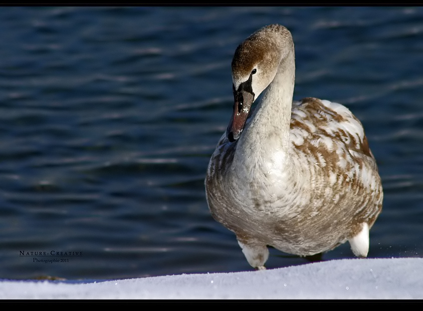 "Am Sonthofener See 8"