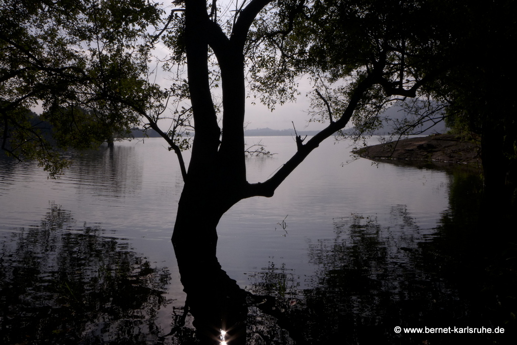 Am Soraborasee in Sri Lanka