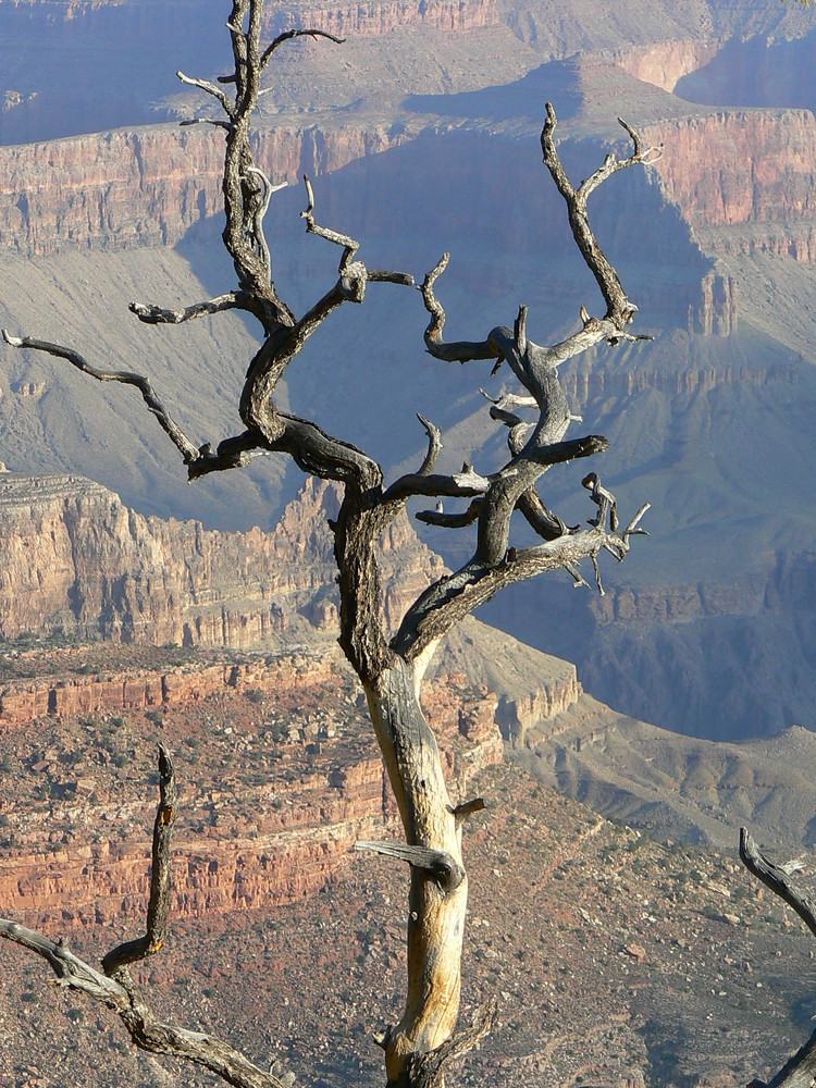 Am South Rim