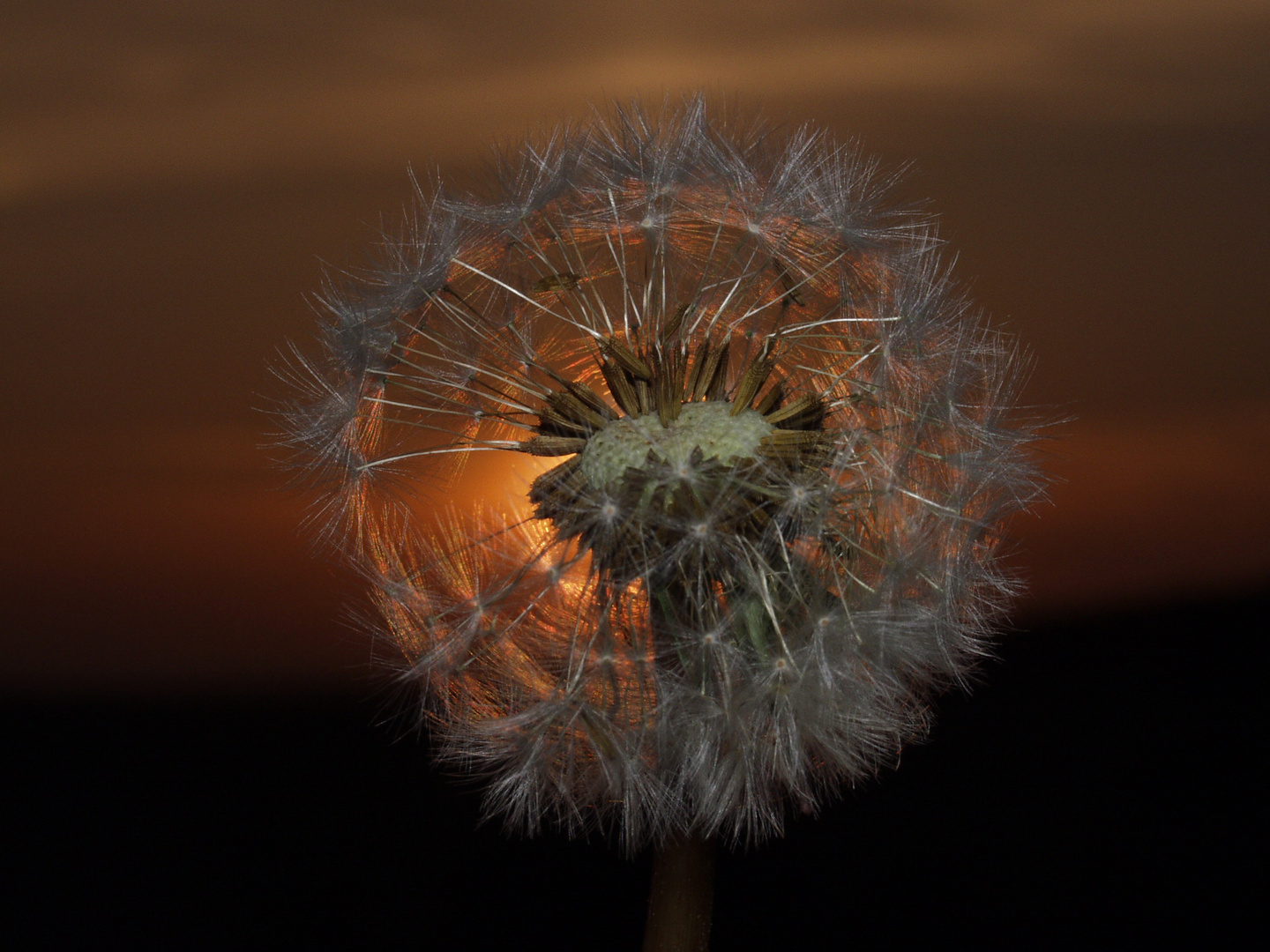 Am späten Abend....